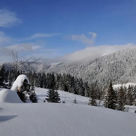 Gloria & 3* Доновалы