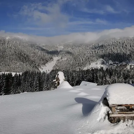 Casa de hóspedes Gloria &